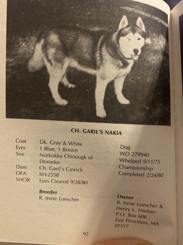 Photo of Garil’s Nakia