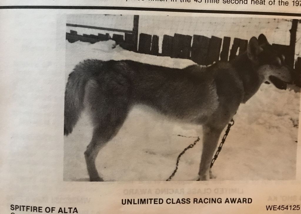 Photo of Spitfire Of Alta