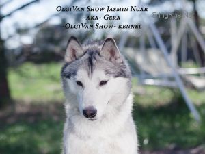 Photo of Olgivan Show Jasmin Nuar