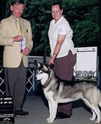 Photo of Chanel della Contea Normanna