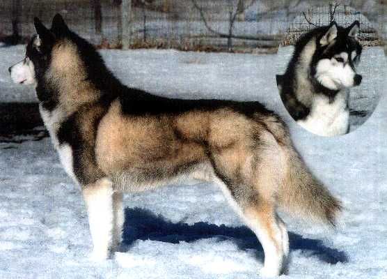 Photo of Catstan's Wakin' Up The Nation