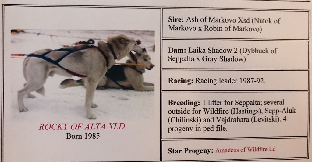 Photo of Rocky Of Alta
