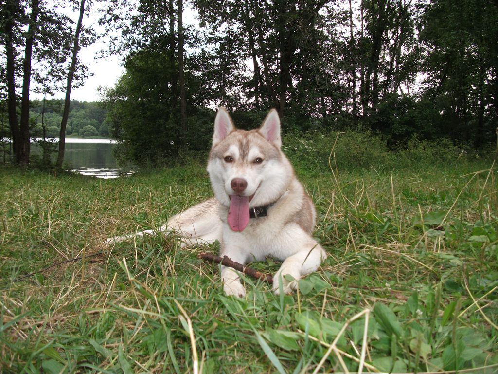Photo of Tainaya Mechta