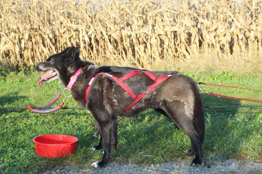 Photo of Ka-Bi’s Wilma