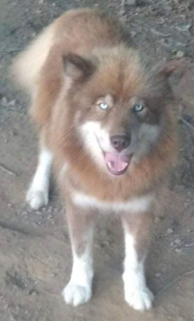 Photo of Titan Hudnall