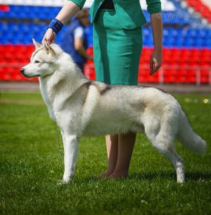 Photo of Vento Libero Yauk Braman Kimbur