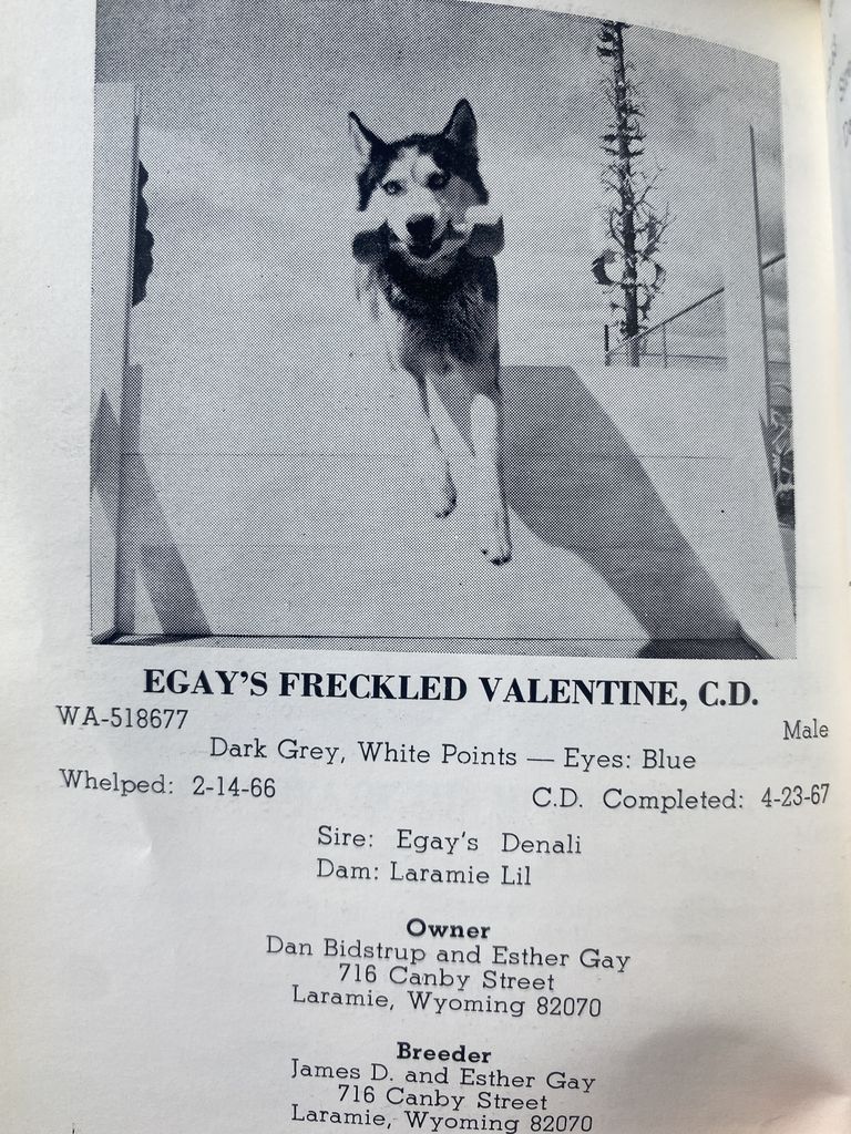 Photo of Egay’s Freckled Valentine