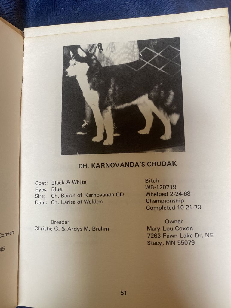 Photo of Karnovanda’s Chudak