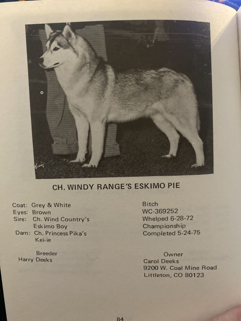 Photo of Windy Range’s Eskimo Pie