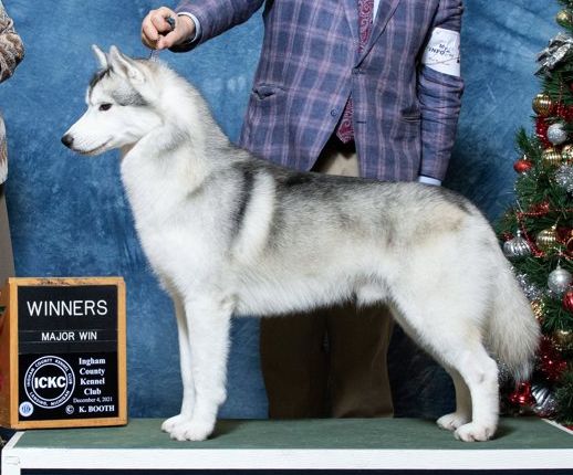 Photo of Snoebear's Tundra