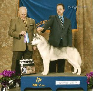 Photo of Highlander’s Diamonds Furever Exclusive