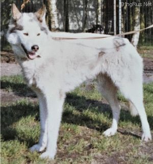 Photo of Koko-Tengri’s Lanlaki