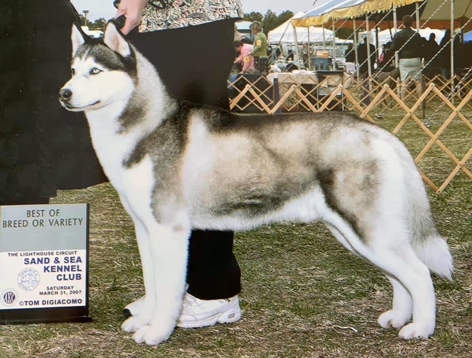 Photo of North Node’s Cool Business
