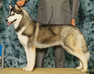 Photo of Kristari’s Ready To Rumble