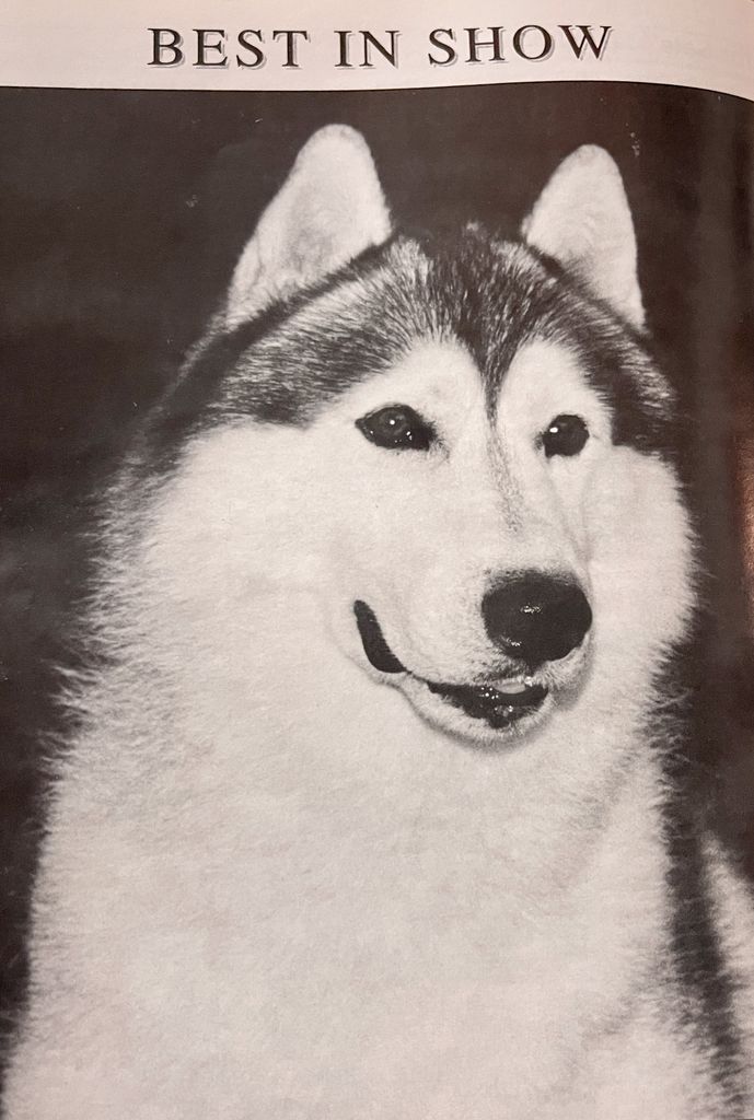 Photo of Sunset Hill’s Don Ho-Beau