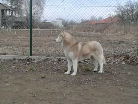 Photo of Amazing Red Girl