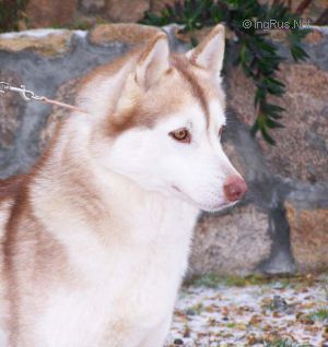 Photo of Hermione De Nariz De Nieve