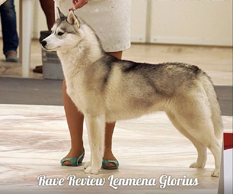 Photo of Rave Review Lenmena Glorius