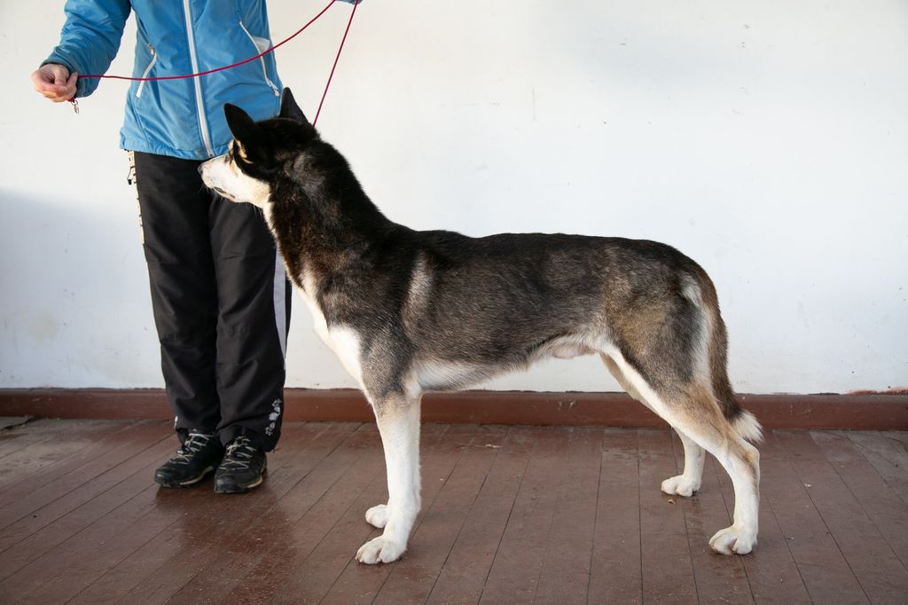 Photo of Laitkiper's Glorkendale Tale