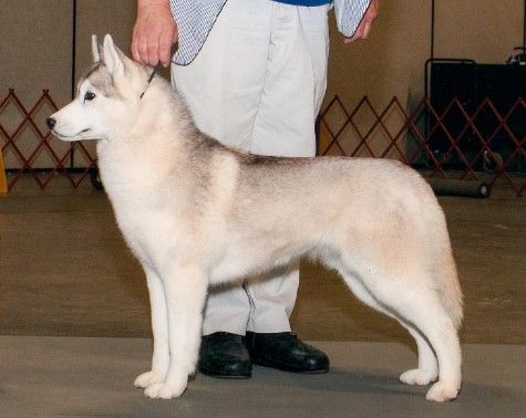 Photo of Snowborn’s Kayta