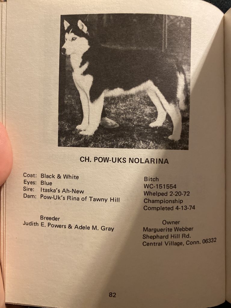 Photo of Pow-Uks Nolarina