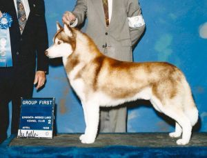 Photo of Kristari's Duke Of Lancelot