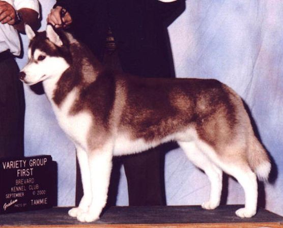 Photo of Kristari’s Perry Mason