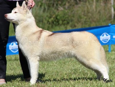 Photo of Jack’s Wolfpack Princess Aurora
