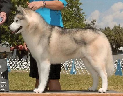 Photo of Apache Run’s Jack Frost