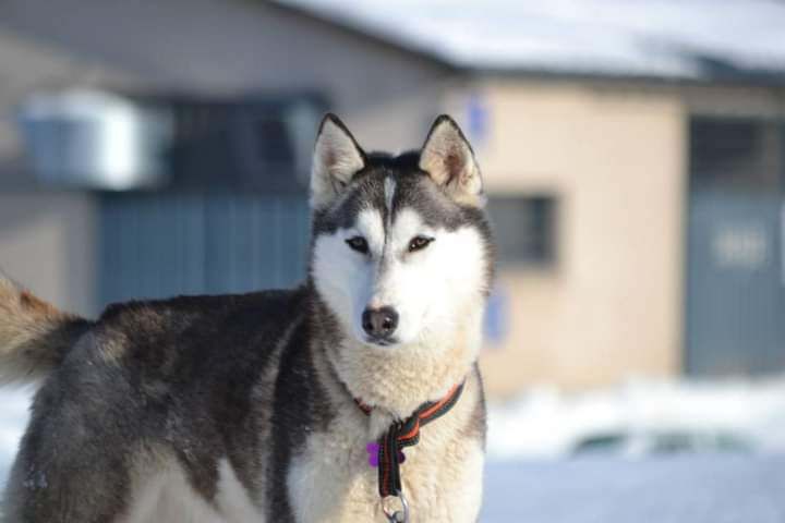 Photo of Iskaya of Holaf's spirit