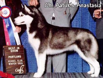 Photo of Aatuk’s Anastasia