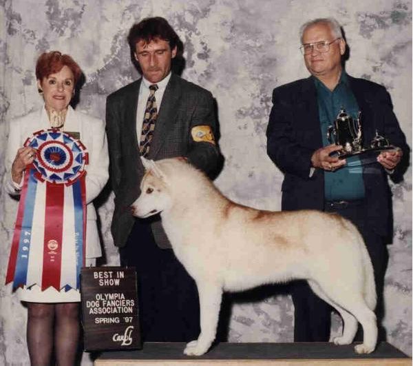 Photo of Stormwarning Calm B4 The Storm