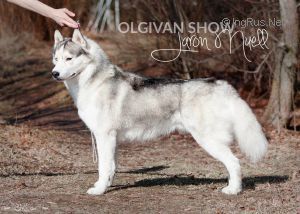 Photo of Olgivan Show Jaron Nuell