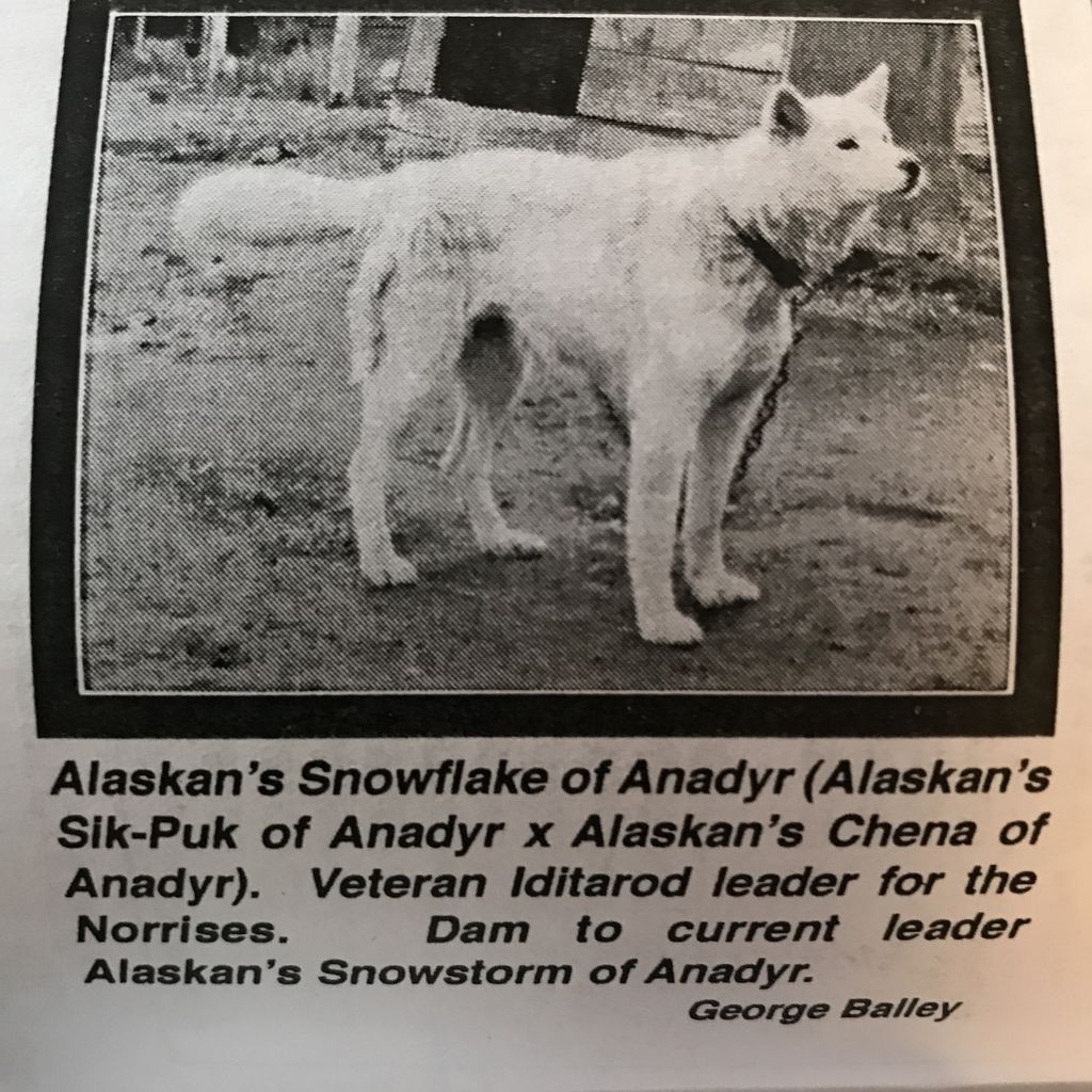 Photo of Alaskan’s Snowflake Of Anadyr
