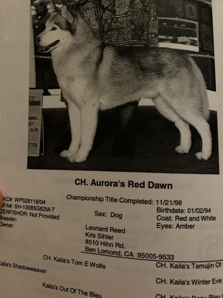 Photo of Aurora’s Red Dawn