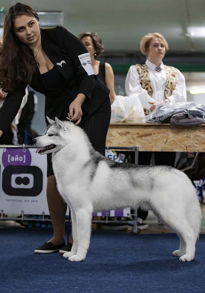 Photo of All About Orinoco Poker Face