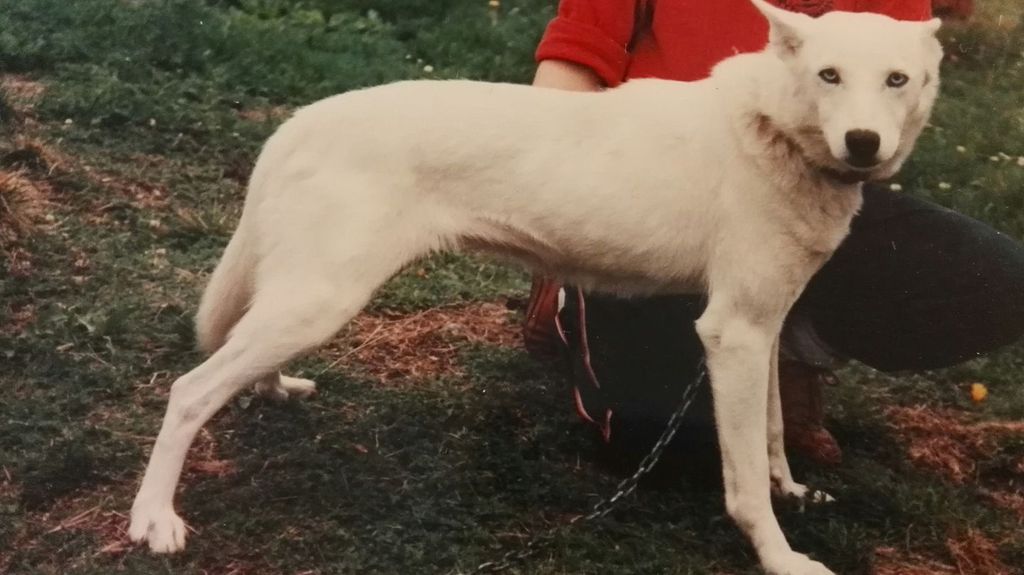 Photo of Zero’s Jerree