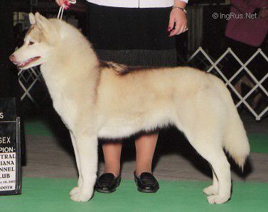 Photo of Topaz Here For The Party