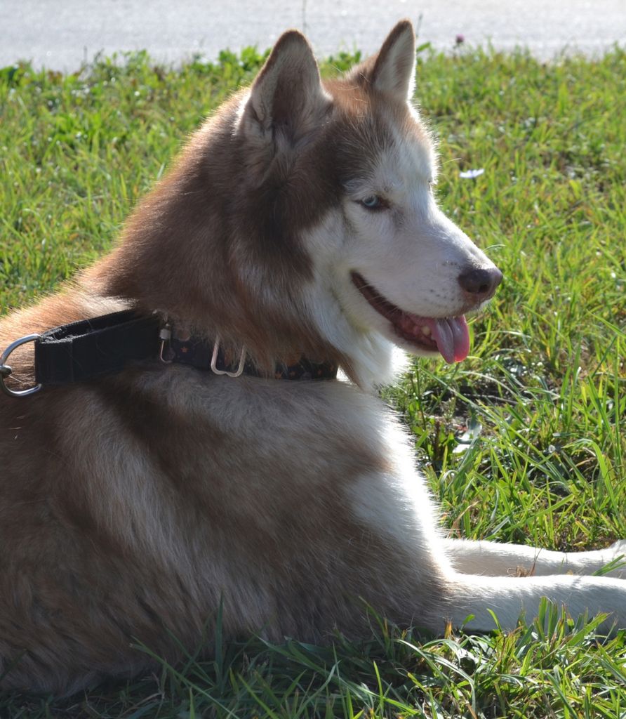 Photo of ZETTER