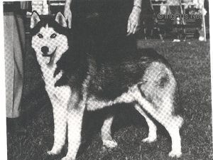 Photo of Savdajaure’s Cognac