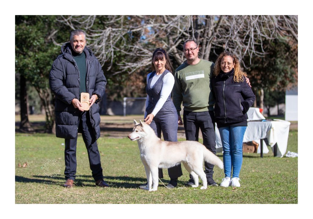 Photo of Arya Snohund Argentina
