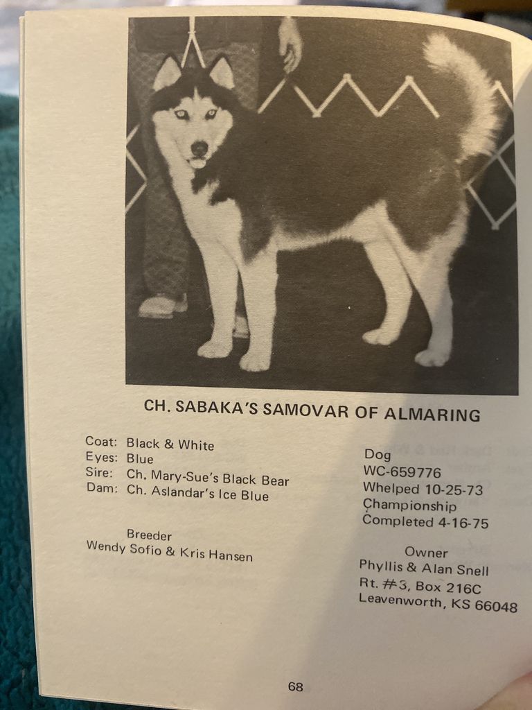 Photo of Sabaka’s Samovar Of Almaring