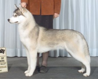 Photo of Bain’s Northern Headliner