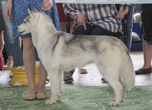 Photo of Antarana Fast Mira