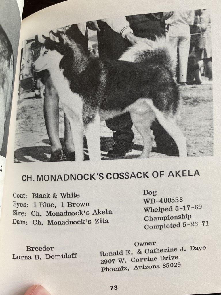 Photo of Monadnock’s Cossack Of Akela