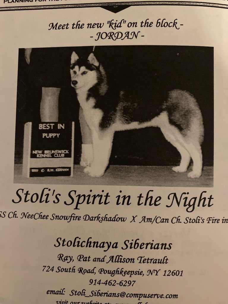 Photo of Stoli’s Spirit In The Night