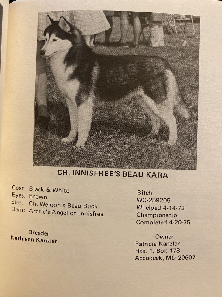 Photo of Innisfree’s Beau Kara