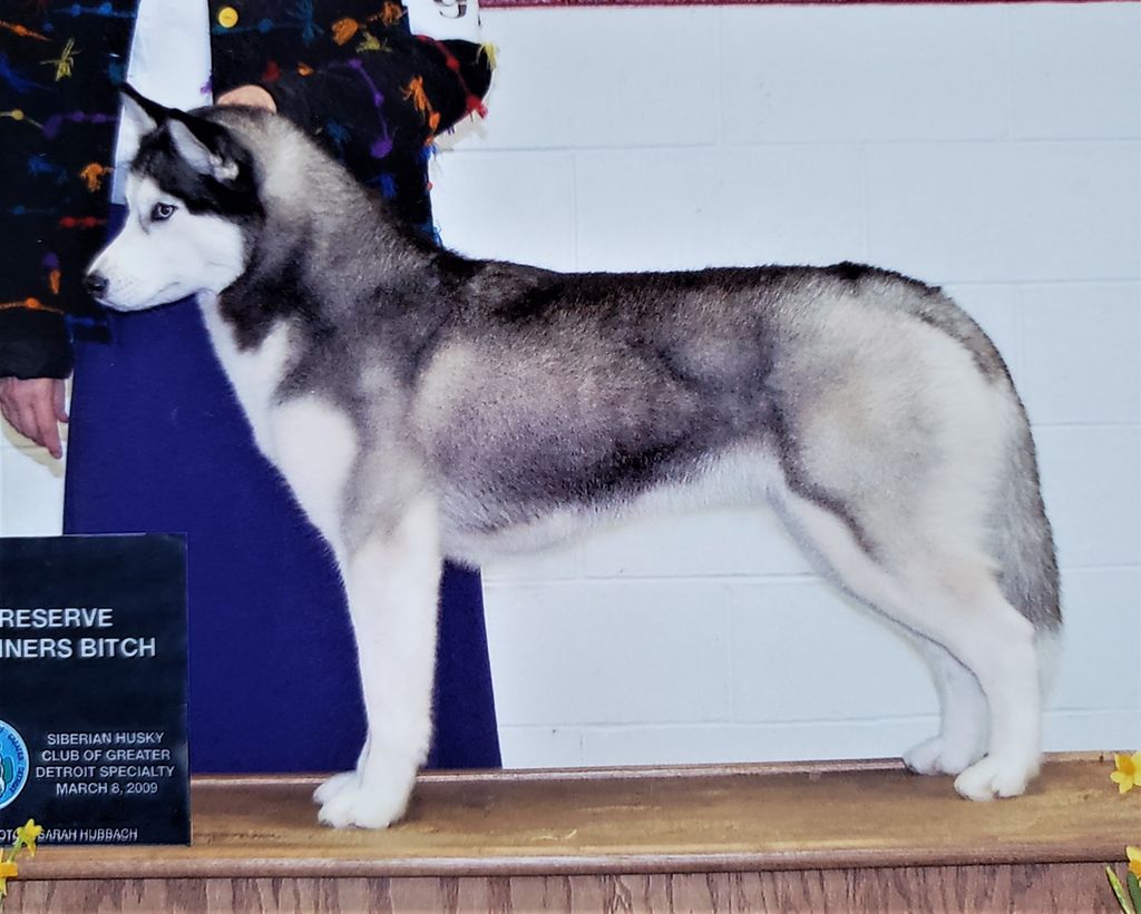 Photo of Trepak’s No Two Alike O’Avadar