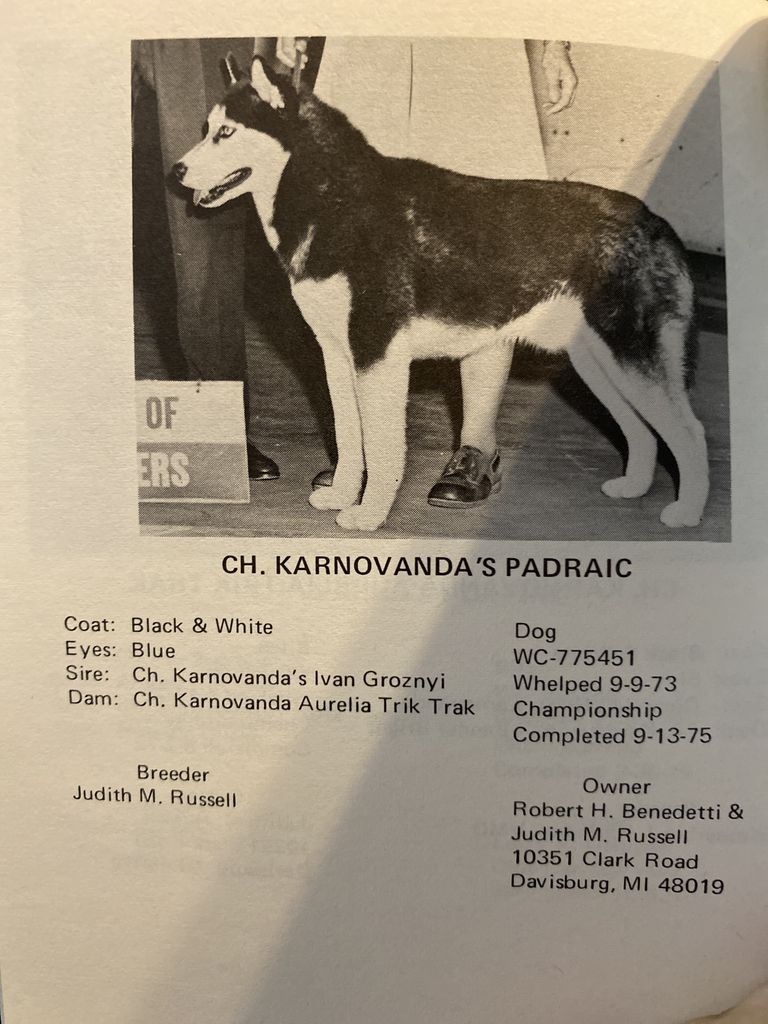 Photo of Karnovanda's Padraic