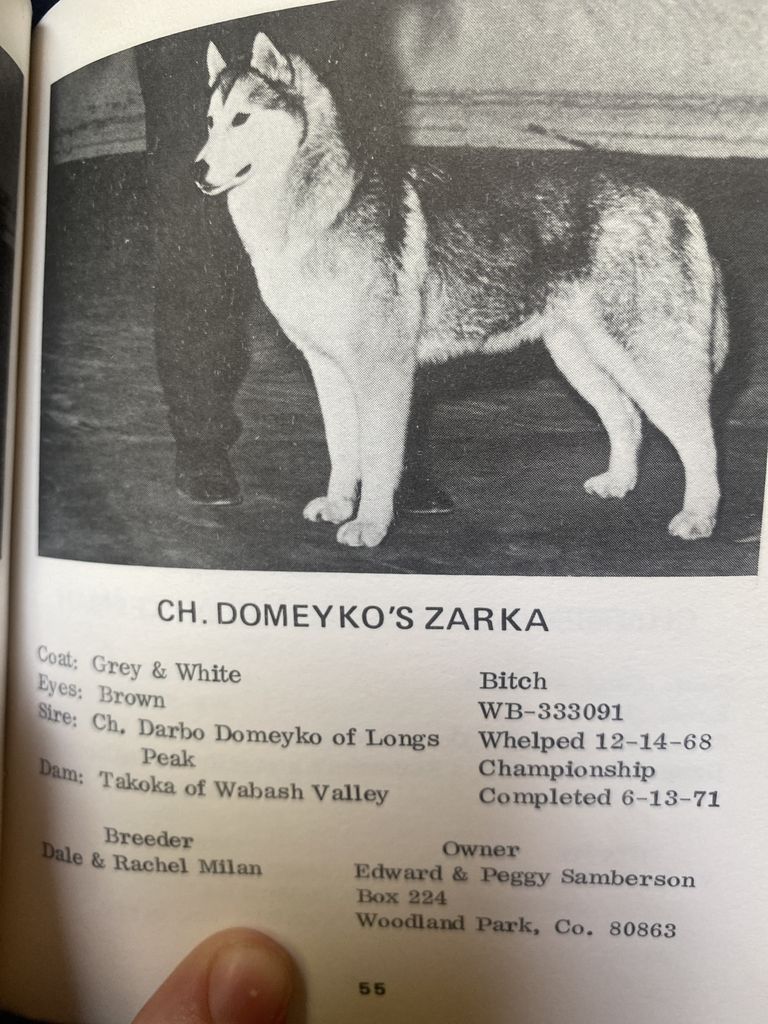 Photo of Domeyko’s Zarka